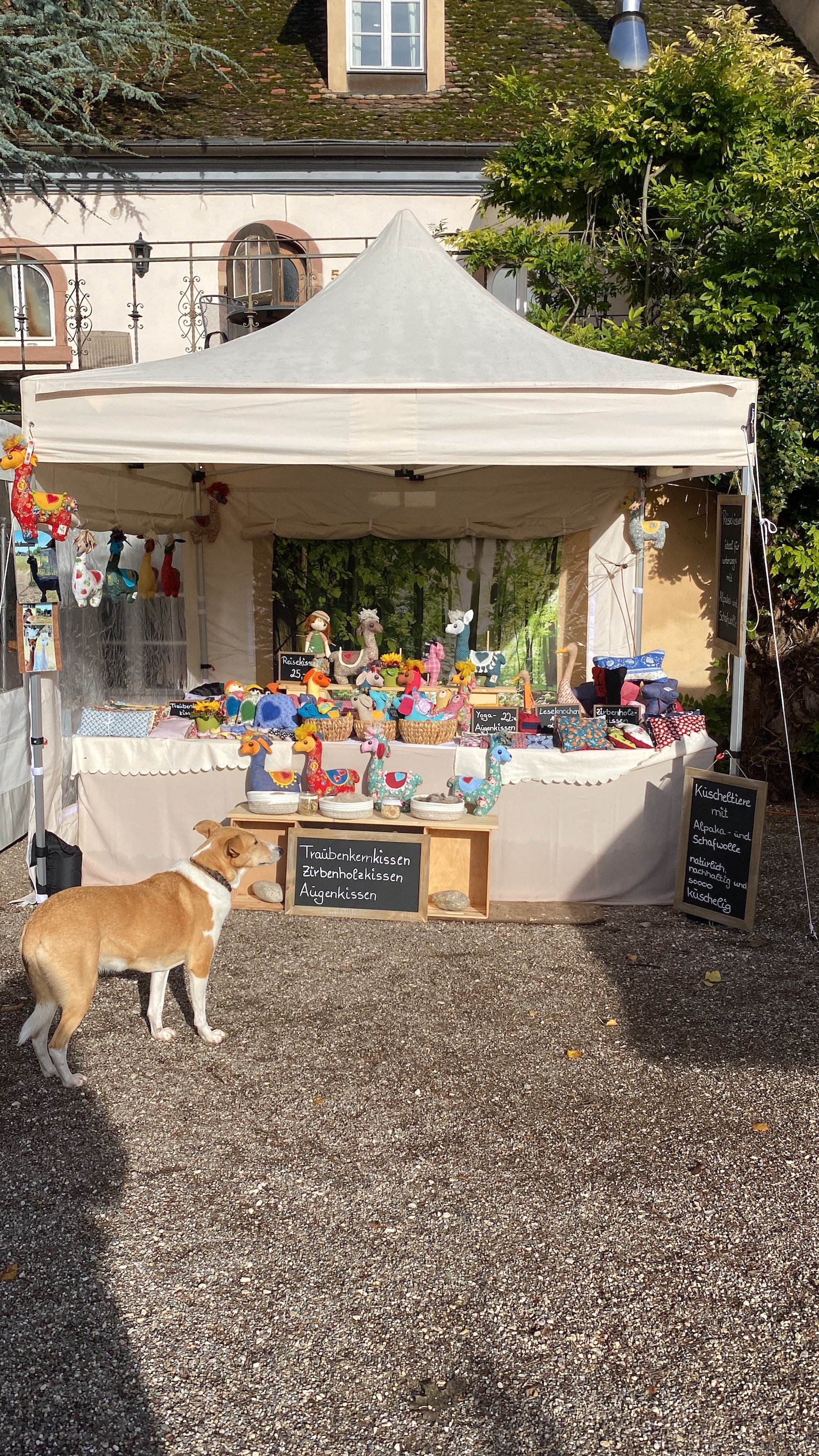 WollMaid Stand auf dem Markt